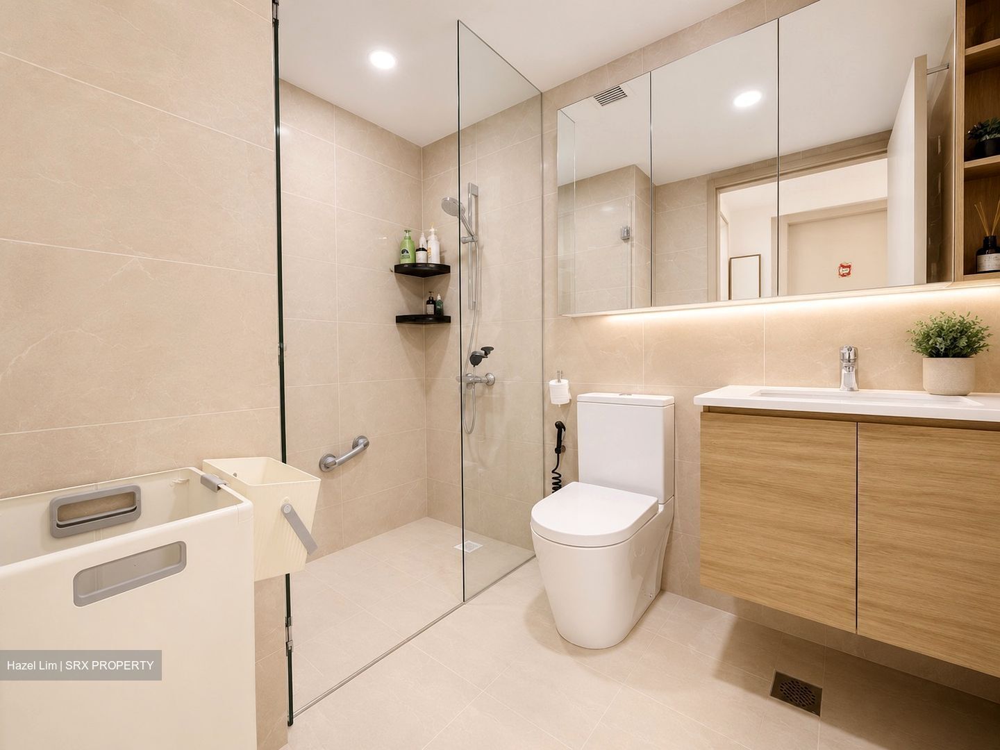 Treasure at Tampines (D18), Condominium #580140841